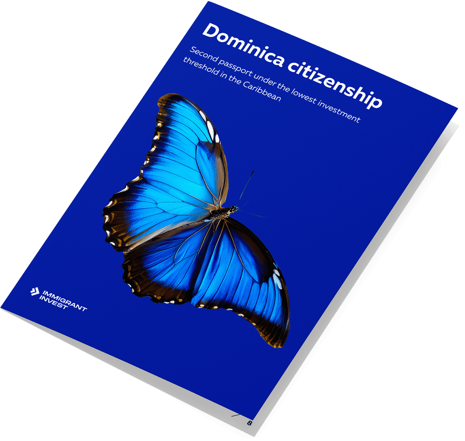 Guide to obtaining Dominica citizenship