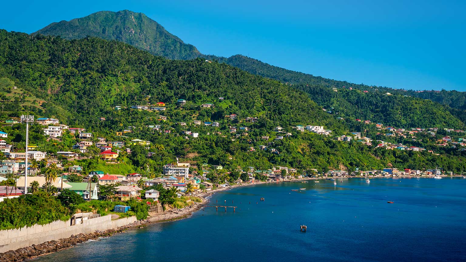 Dominica passport renewal and rights for investors: updated guide