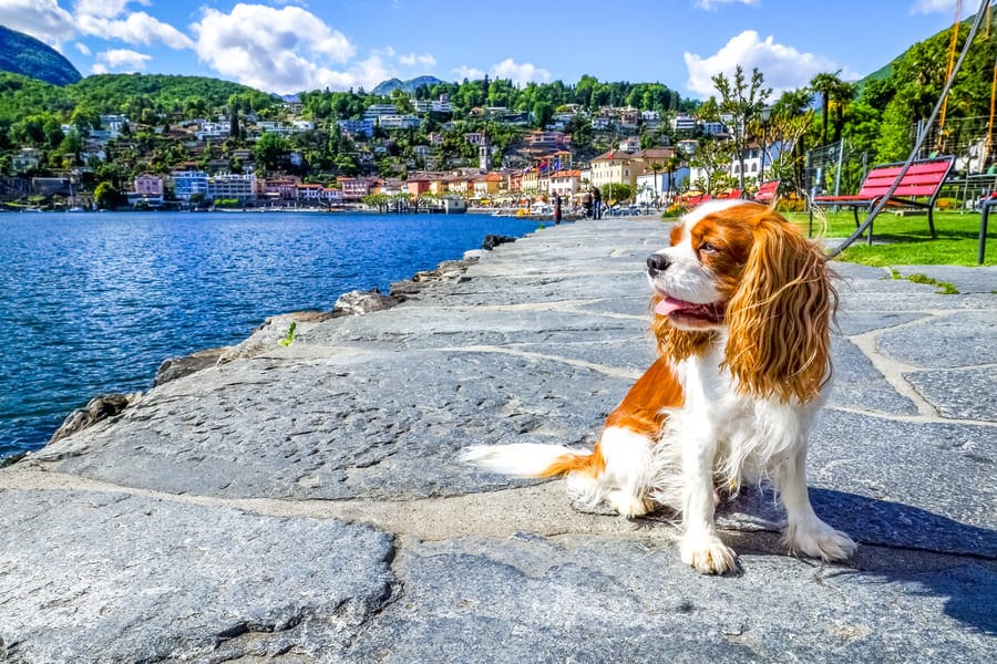 Easiest European country to immigrate to — Switzerland