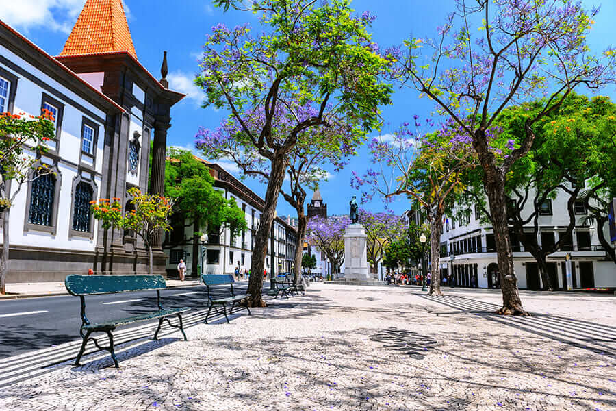 Portuguese cities — Funchal main street