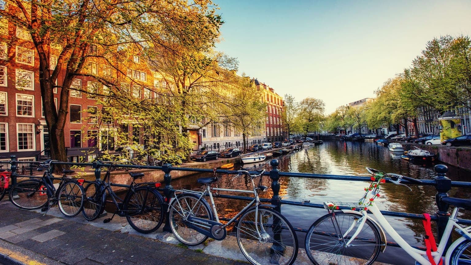 Netherlands Golden Visa: complete guide for expat-friendly living